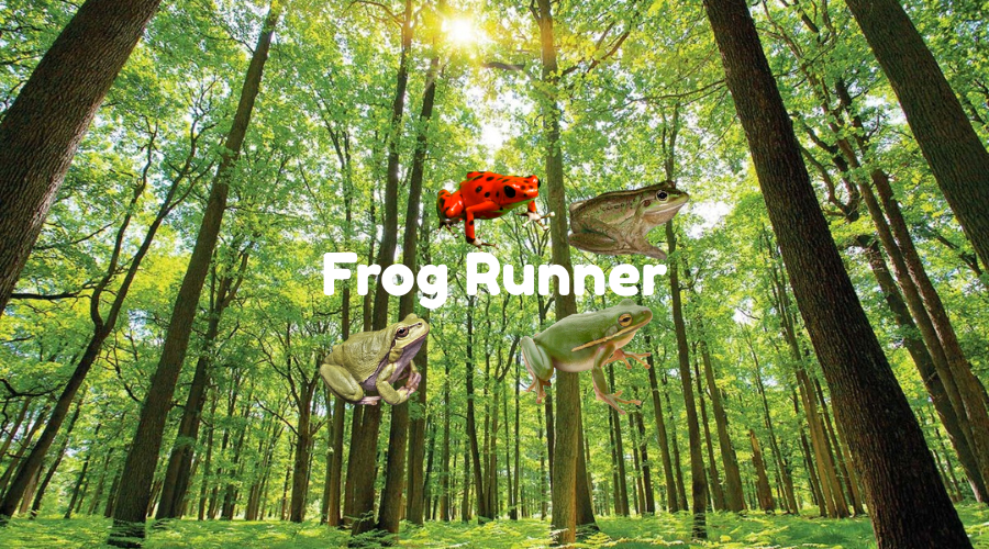 Frog Runner